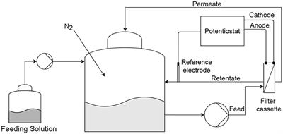 Toward an Energy Efficient Wastewater Treatment: Combining a Microbial Fuel Cell/Electrolysis Cell Anode With an Anaerobic Membrane Bioreactor